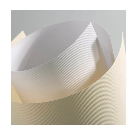 Carton texturat/ embosat